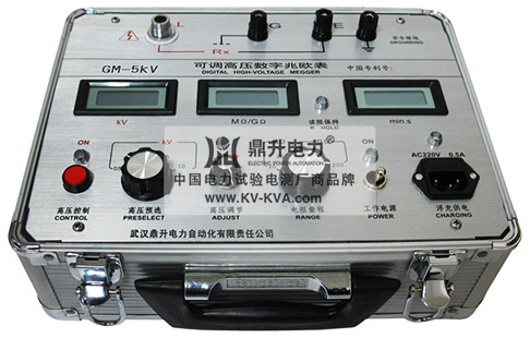 可調(diào)高壓數(shù)字兆歐表