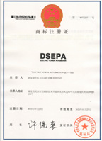 鼎升電力注冊商標(biāo)DSEPA