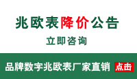 兆歐表參數(shù)比較