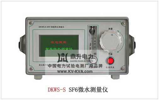 DKWS-S SF6微水測量儀